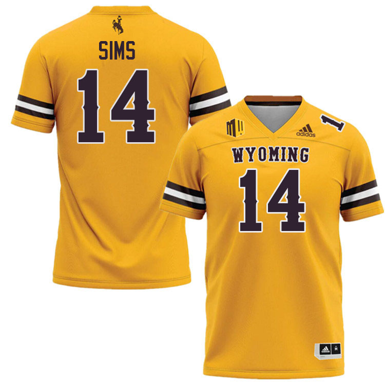 Wyoming Cowboys #14 Landon Sims College Football Jerseys,Uniforms-Gold